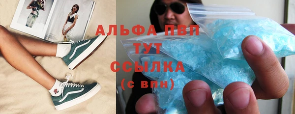 ПСИЛОЦИБИНОВЫЕ ГРИБЫ Инта