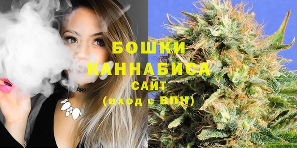 ПСИЛОЦИБИНОВЫЕ ГРИБЫ Инта