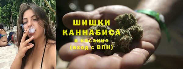 ПСИЛОЦИБИНОВЫЕ ГРИБЫ Инта