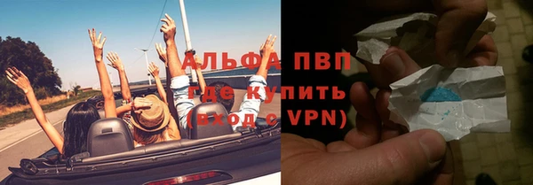 ПСИЛОЦИБИНОВЫЕ ГРИБЫ Инта