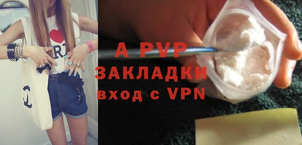 ПСИЛОЦИБИНОВЫЕ ГРИБЫ Инта