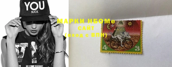 ПСИЛОЦИБИНОВЫЕ ГРИБЫ Инта