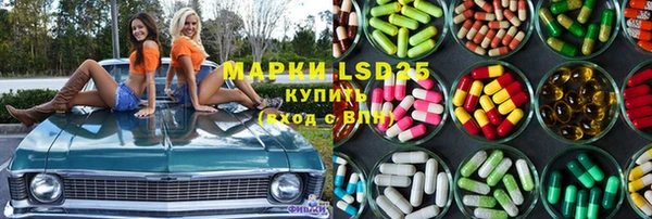 ПСИЛОЦИБИНОВЫЕ ГРИБЫ Инта