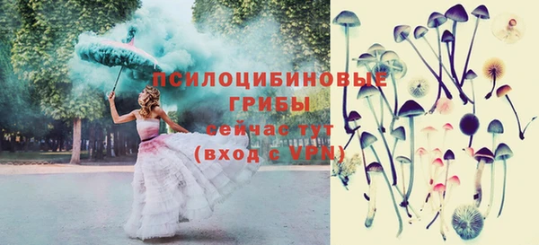 дживик Иннополис