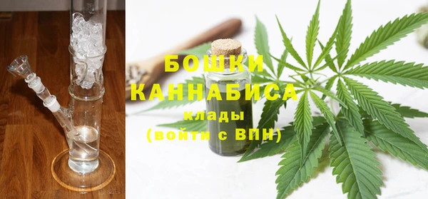 ПСИЛОЦИБИНОВЫЕ ГРИБЫ Инта