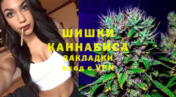 ПСИЛОЦИБИНОВЫЕ ГРИБЫ Инта