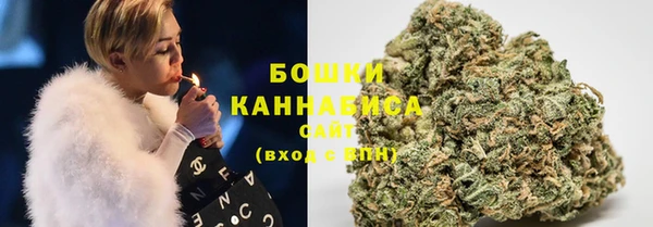 дживик Иннополис